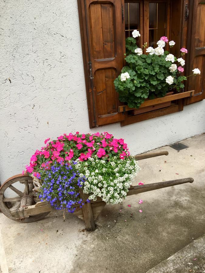 Albergo Meuble Tarandan Forni di Sopra Bagian luar foto