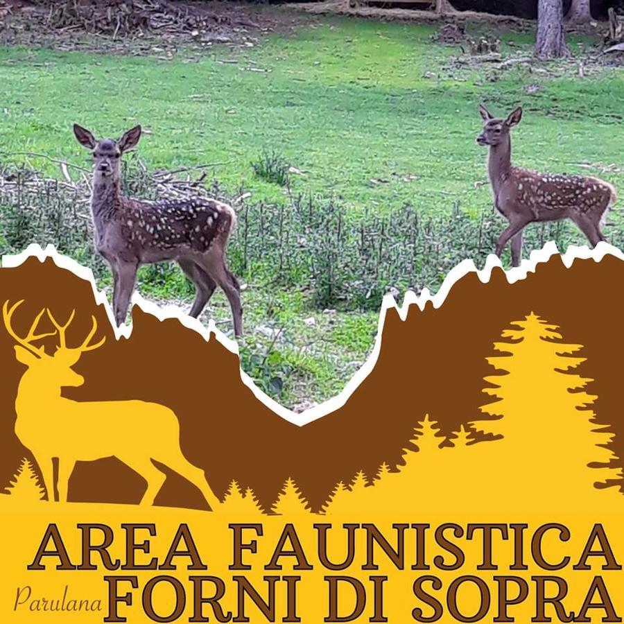 Albergo Meuble Tarandan Forni di Sopra Bagian luar foto