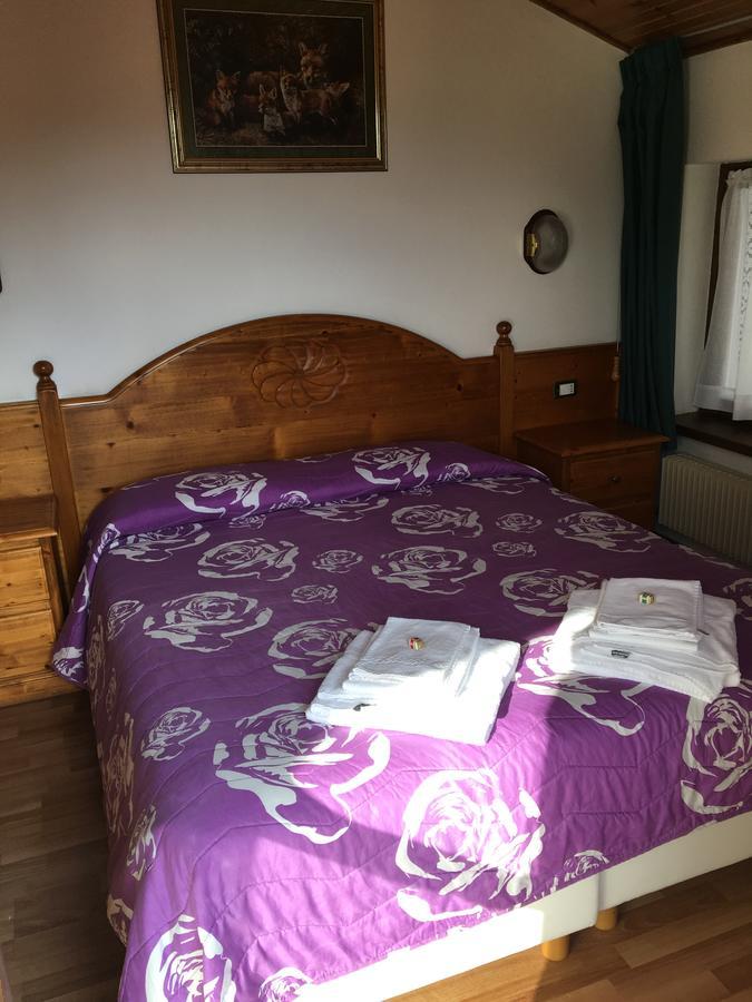 Albergo Meuble Tarandan Forni di Sopra Bagian luar foto